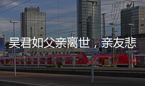 吳君如父親離世，親友悲痛悼念