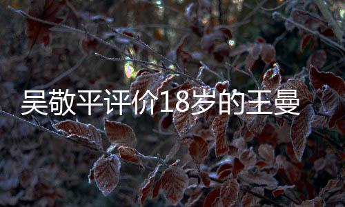 吳敬平評(píng)價(jià)18歲的王曼昱，潛力股閃耀乒壇的未來(lái)之星