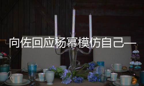 向佐回應楊冪模仿自己——引發(fā)關注與熱議