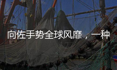 向佐手勢(shì)全球風(fēng)靡，一種文化現(xiàn)象的觀察與解讀