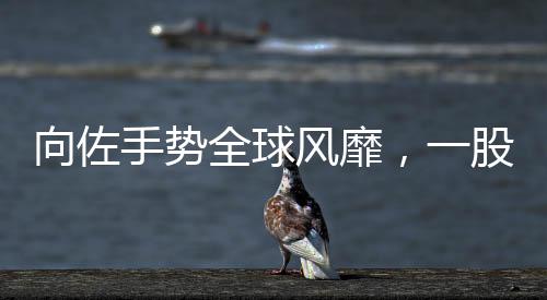 向佐手勢全球風靡，一股新的文化潮流誕生