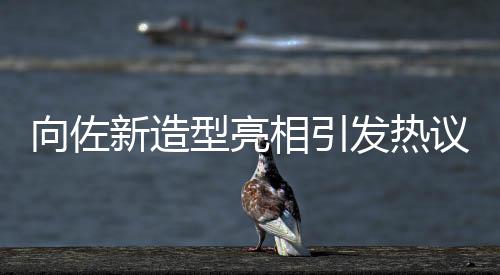 向佐新造型亮相引發(fā)熱議，網(wǎng)友戲稱佐姐潮流新風(fēng)尚