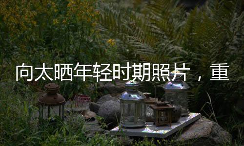 向太曬年輕時(shí)期照片，重溫黃金歲月的美好回憶