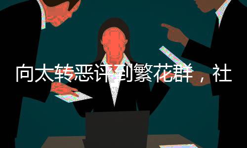 向太轉惡評到繁花群，社交媒體中的風向變換與藝術力量
