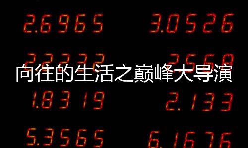 向往的生活之巔峰大導(dǎo)演
