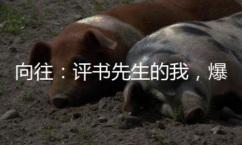向往：評(píng)書(shū)先生的我，爆火全網(wǎng)！