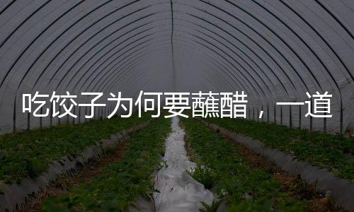 吃餃子為何要蘸醋，一道中華美食文化的獨(dú)特韻味