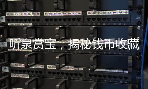 聽(tīng)泉賞寶，揭秘錢幣收藏中的奧秘與挑戰(zhàn)