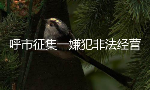 呼市征集一嫌犯非法經(jīng)營(yíng)犯罪線索，嚴(yán)厲打擊違法犯罪行為