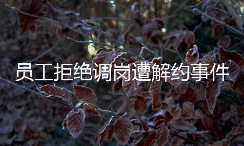 員工拒絕調(diào)崗遭解約事件，深度解析與反思