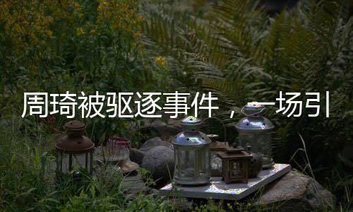周琦被驅(qū)逐事件，一場(chǎng)引發(fā)廣泛關(guān)注的體育爭(zhēng)議