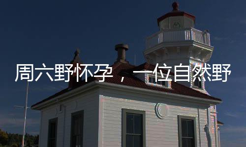 周六野懷孕，一位自然野生攝影師的奇妙生活之旅