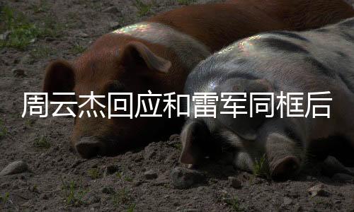 周云杰回應(yīng)和雷軍同框后走紅