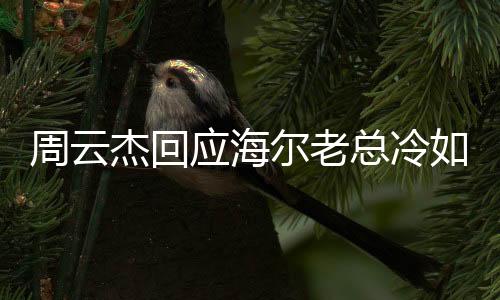 周云杰回應海爾老總冷如冰箱，一場關于企業(yè)文化與管理的深度對話
