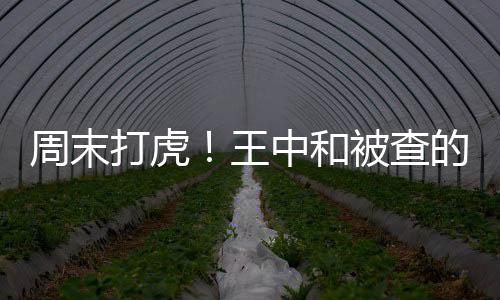 周末打虎！王中和被查的深度分析與觀察