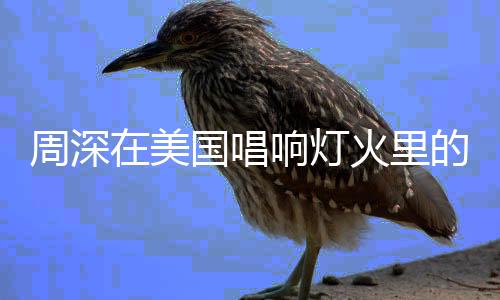 周深在美國唱響燈火里的中國，跨越國界的東方情懷