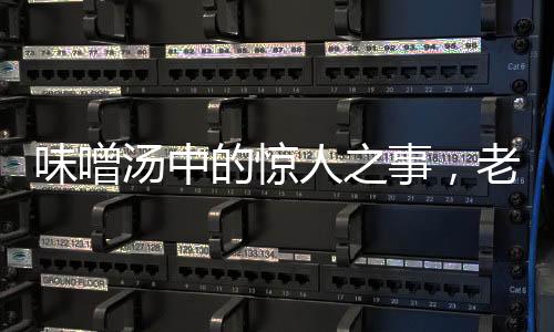 味噌湯中的驚人之事，老鼠尸體意外發(fā)現(xiàn)，食品安全再敲警鐘