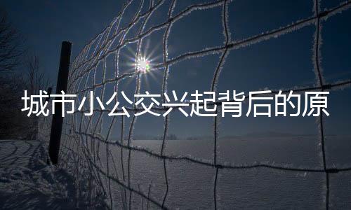 城市小公交興起背后的原因解析
