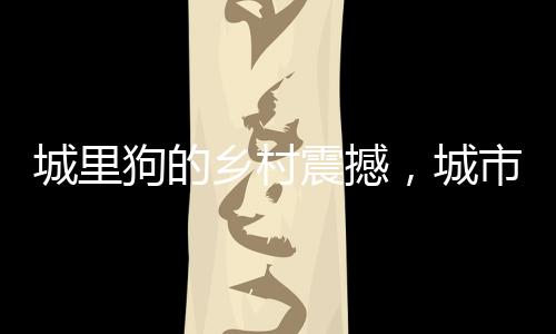 城里狗的鄉(xiāng)村震撼，城市與鄉(xiāng)村間的別樣體驗(yàn)