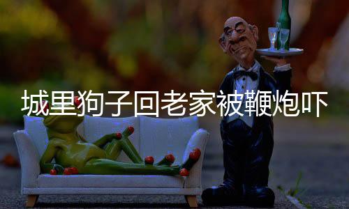 城里狗子回老家被鞭炮嚇得要開車走