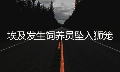 埃及發(fā)生飼養(yǎng)員墜入獅籠被咬身亡的悲劇事件