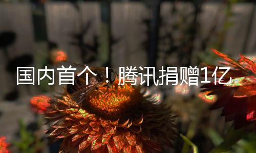 國(guó)內(nèi)首個(gè)！騰訊捐贈(zèng)1億元 讓文物真正“活”過(guò)來(lái)