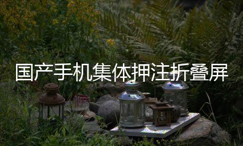 國產(chǎn)手機(jī)集體押注折疊屏，路走對了嗎？