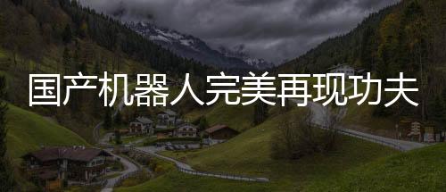 國(guó)產(chǎn)機(jī)器人完美再現(xiàn)功夫經(jīng)典舞蹈動(dòng)作，科技與藝術(shù)的融合展現(xiàn)無盡魅力