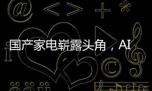 國(guó)產(chǎn)家電嶄露頭角，AI引領(lǐng)潮流，智能家電獨(dú)占鰲頭