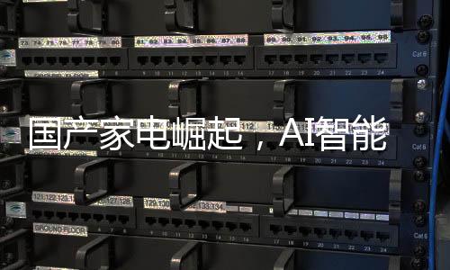 國產(chǎn)家電崛起，AI智能成為頂流，站在行業(yè)C位引領(lǐng)未來