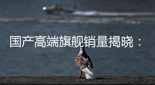 國產(chǎn)高端旗艦銷量揭曉：小米大幅領(lǐng)先華為 穩(wěn)居第一