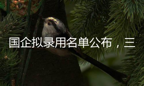 國(guó)企擬錄用名單公布，三名本科生引發(fā)社會(huì)熱議