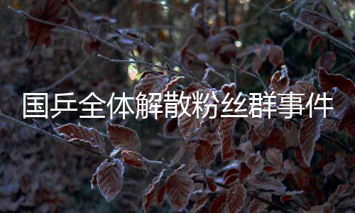 國乒全體解散粉絲群事件背后引發(fā)的思考