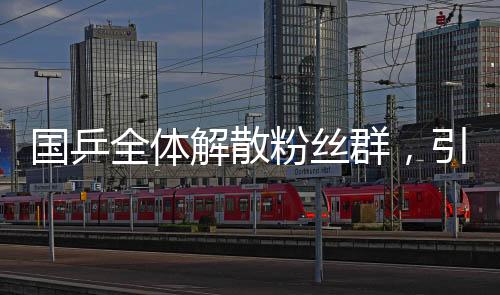 國乒全體解散粉絲群，引發(fā)廣泛關(guān)注和熱議