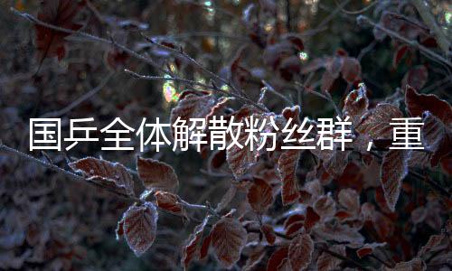 國(guó)乒全體解散粉絲群，重塑球迷文化與專業(yè)精神的嶄新融合