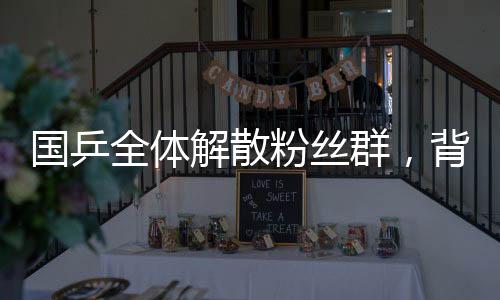 國乒全體解散粉絲群，背后原因引人深思