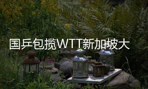 國(guó)乒包攬WTT新加坡大滿貫五金，輝煌成就震撼世界乒壇