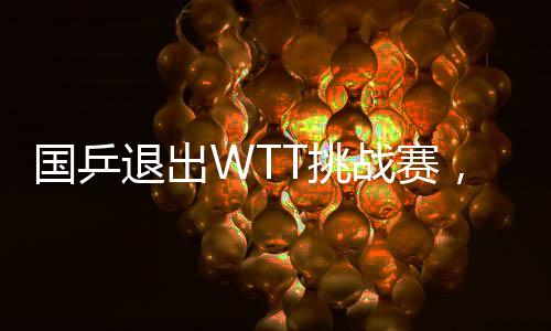 國乒退出WTT挑戰(zhàn)賽，戰(zhàn)略調(diào)整還是遺憾之失？