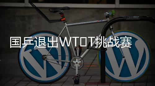 國乒退出WT?T挑戰(zhàn)賽——背后的決策考量與挑戰(zhàn)