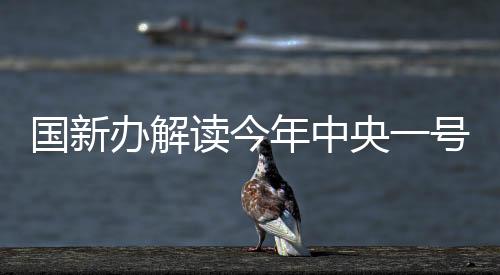 國新辦解讀今年中央一號文件，聚焦鄉(xiāng)村振興與農(nóng)業(yè)農(nóng)村現(xiàn)代化戰(zhàn)略