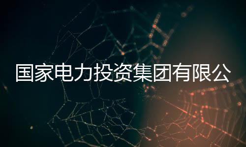 國家電力投資集團(tuán)有限公司戰(zhàn)略規(guī)劃與發(fā)展部副總監(jiān)曾武被查