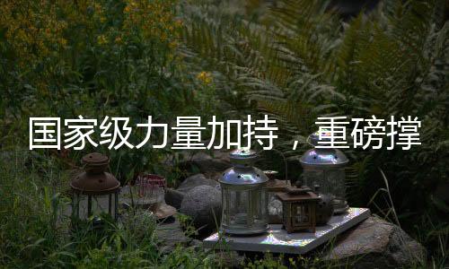 國家級力量加持，重磅撐腰計劃正式落地實施
