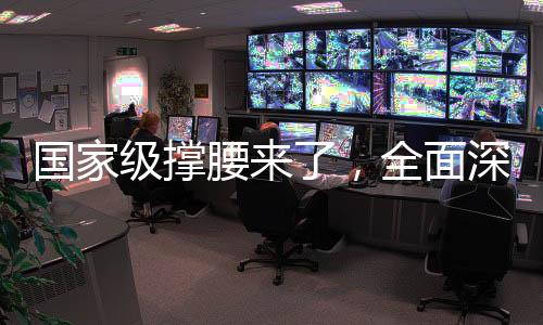 國家級撐腰來了，全面深化政策扶持，助推國家發(fā)展