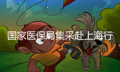國家醫(yī)保局集采赴上海行動順利結(jié)束，已順利返京