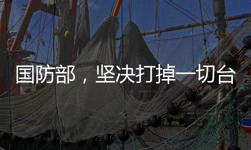 國防部，堅決打掉一切臺獨分裂圖謀