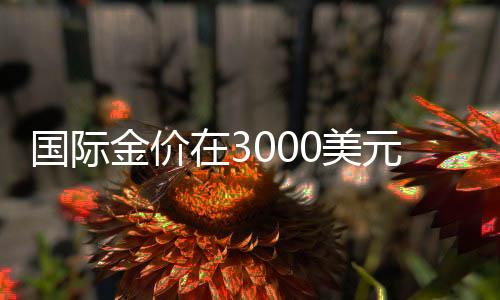 國際金價(jià)在3000美元關(guān)口上演多空對決