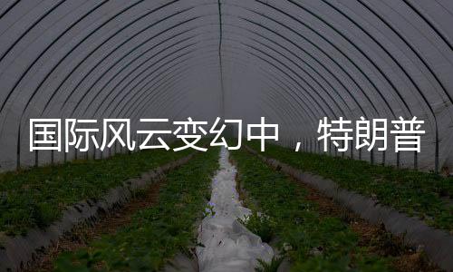 國(guó)際風(fēng)云變幻中，特朗普、普京與澤連斯基的停戰(zhàn)談判之路
