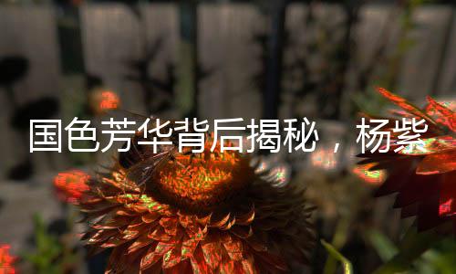 國色芳華背后揭秘，楊紫嘴角神秘小紅點故事