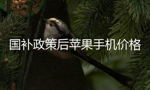 國補(bǔ)政策后蘋果手機(jī)價格驟降，跌破三千大關(guān)