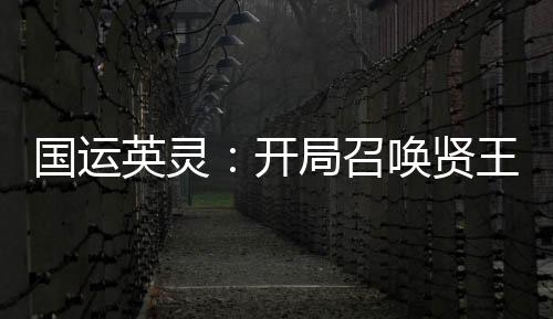 國運(yùn)英靈：開局召喚賢王閃！